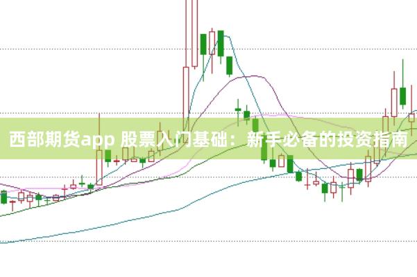 西部期貨app 股票入門基礎(chǔ)：新手必備的投資指南