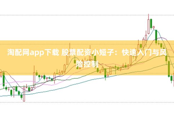 淘配網(wǎng)app下載 股票配資小短子：快速入門與風(fēng)險控制