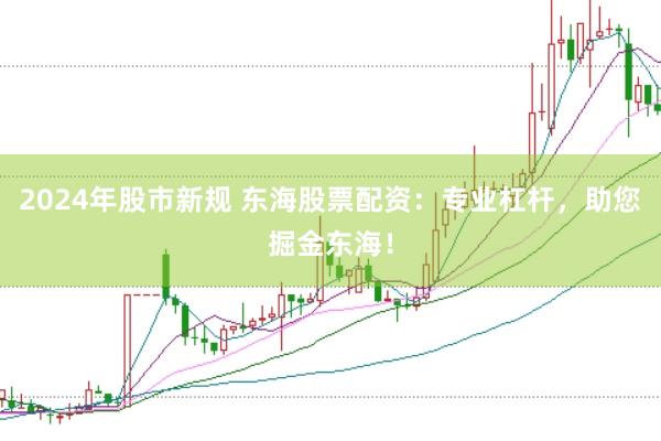 2024年股市新規(guī) 東海股票配資：專業(yè)杠桿，助您掘金東海！