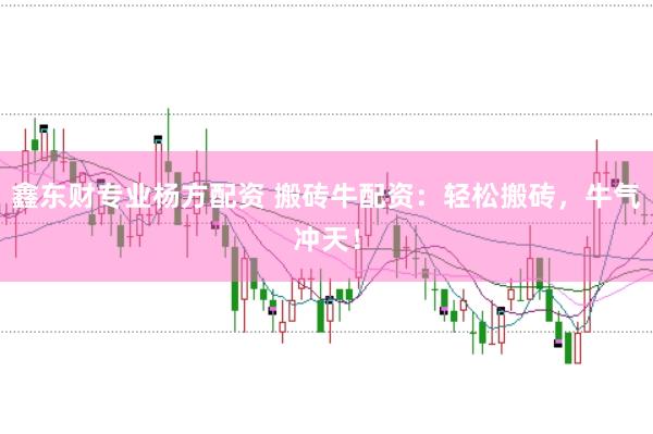 鑫東財專業(yè)楊方配資 搬磚牛配資：輕松搬磚，牛氣沖天！