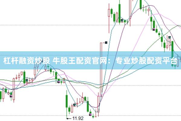 杠桿融資炒股 牛股王配資官網(wǎng)：專業(yè)炒股配資平臺(tái)