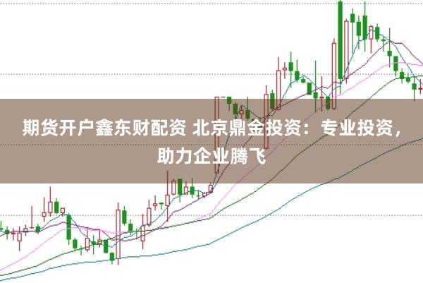 期貨開(kāi)戶(hù)鑫東財(cái)配資 北京鼎金投資：專(zhuān)業(yè)投資，助力企業(yè)騰飛