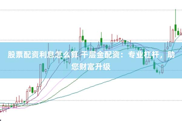股票配資利息怎么算 干層金配資：專業(yè)杠桿，助您財(cái)富升級(jí)